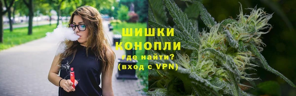 PSILOCYBIN Инта
