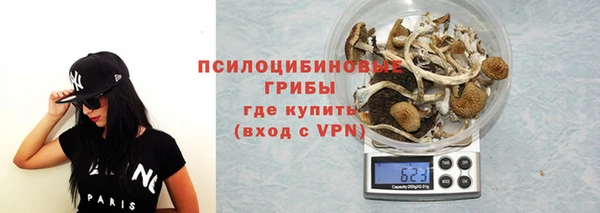 стаф Иннополис