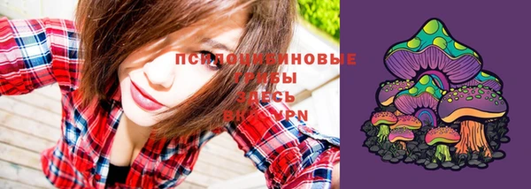 стаф Иннополис