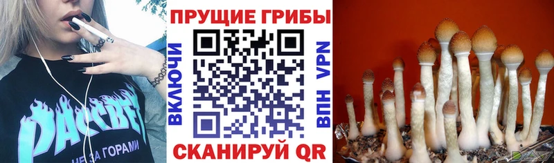 shop формула  где можно купить наркотик  Серафимович  Галлюциногенные грибы прущие грибы  hydra ONION 